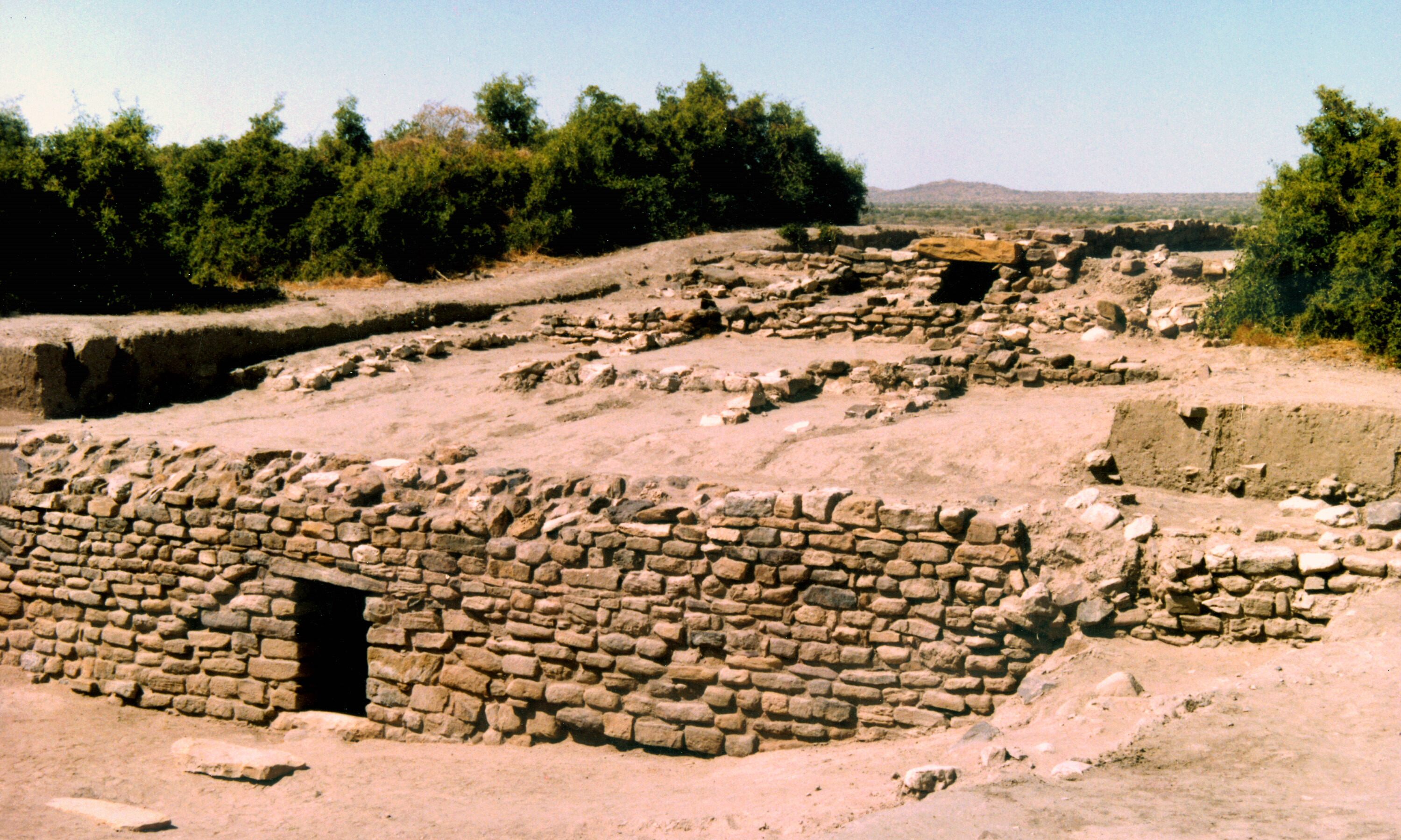 The Indus Valley people abandoned their cities about 4,000 years ago, after a changing climate made it difficult to meet basic needs.