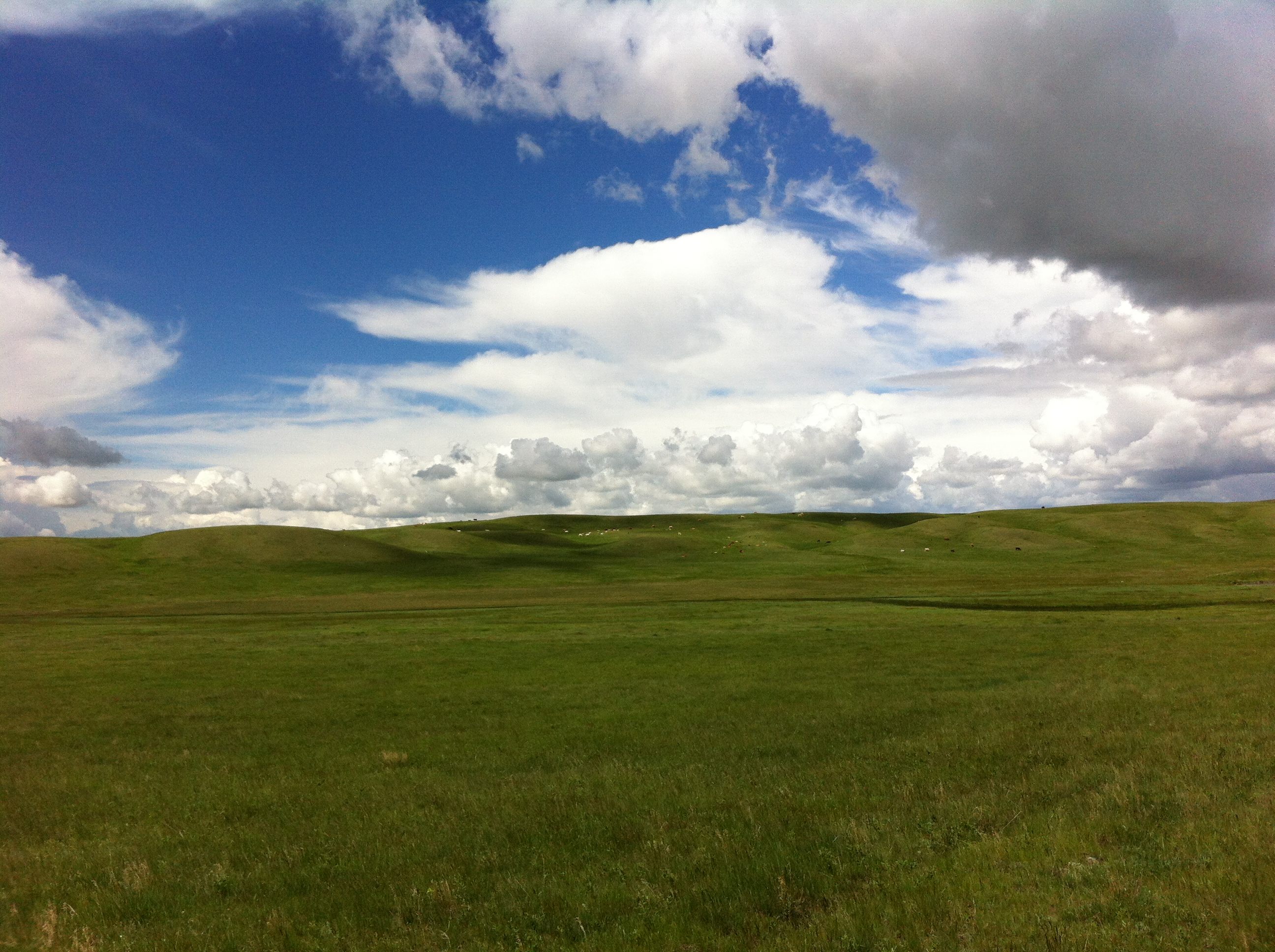 On the Northern Great Plains in Alberta, Canada.