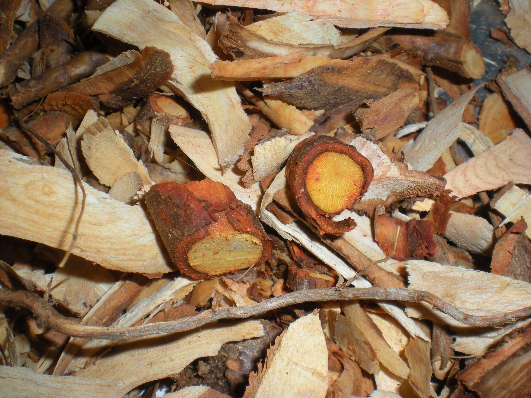 Wood Chips  Birch Tree Bark & Stone