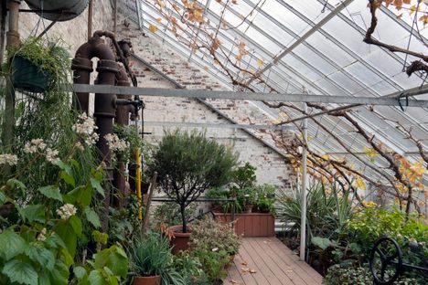 Lyman Estate Greenhouses