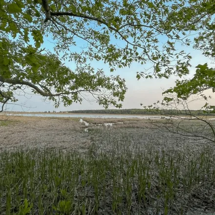 A wide salt marsh at dusk seen through the overhanging branches of an oak tree