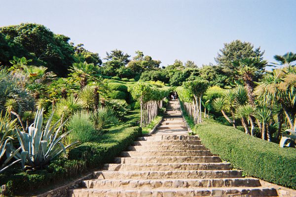The Cheonguk-ui Gyedan, or "Stairway to Heaven."