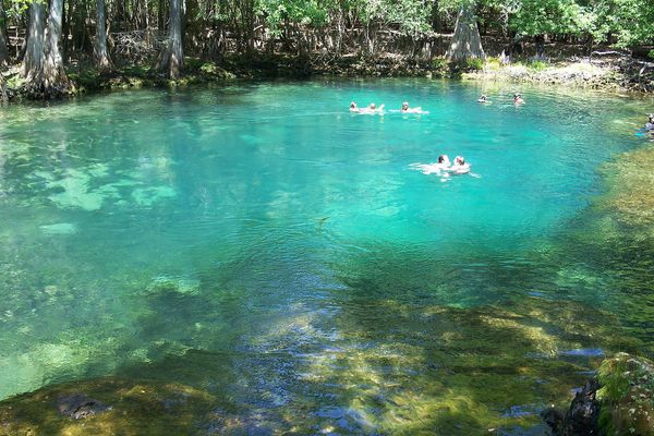 Clear waters in Manatee Springs State Park.