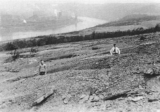 The effects of the Zinc Works on Webster Hill. 