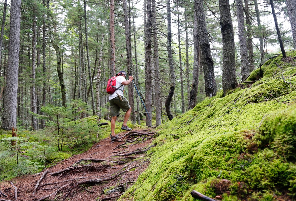 Former Penobscot Chief Barry Dana hikes along a section of the Appalachian Trail near Mount Katahdin. In Maine, few among the outdoor recreation community identify as Native American.
