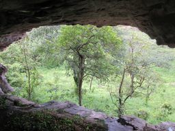 View from inside the cave.