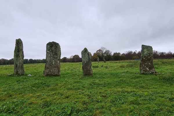 Ballymeanoch Standing Stones set out in two parallel rows