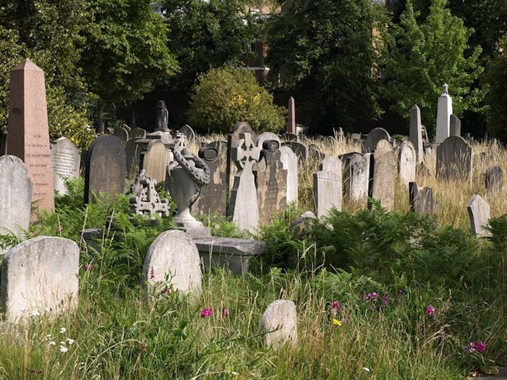 Many pathogens and contaminants can live in cemetery soil.