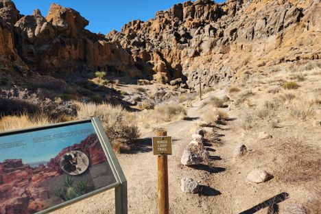 Top of the Rings Loop Trail, above Banshee Canyon.