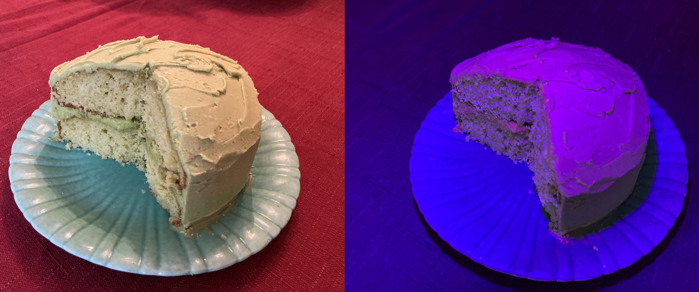 The cake appeared green under regular light, and pink under UV light. 