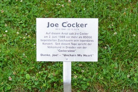 Cockerwiese (Joe Cocker Meadow)