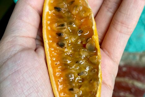 Banana Passionfruit