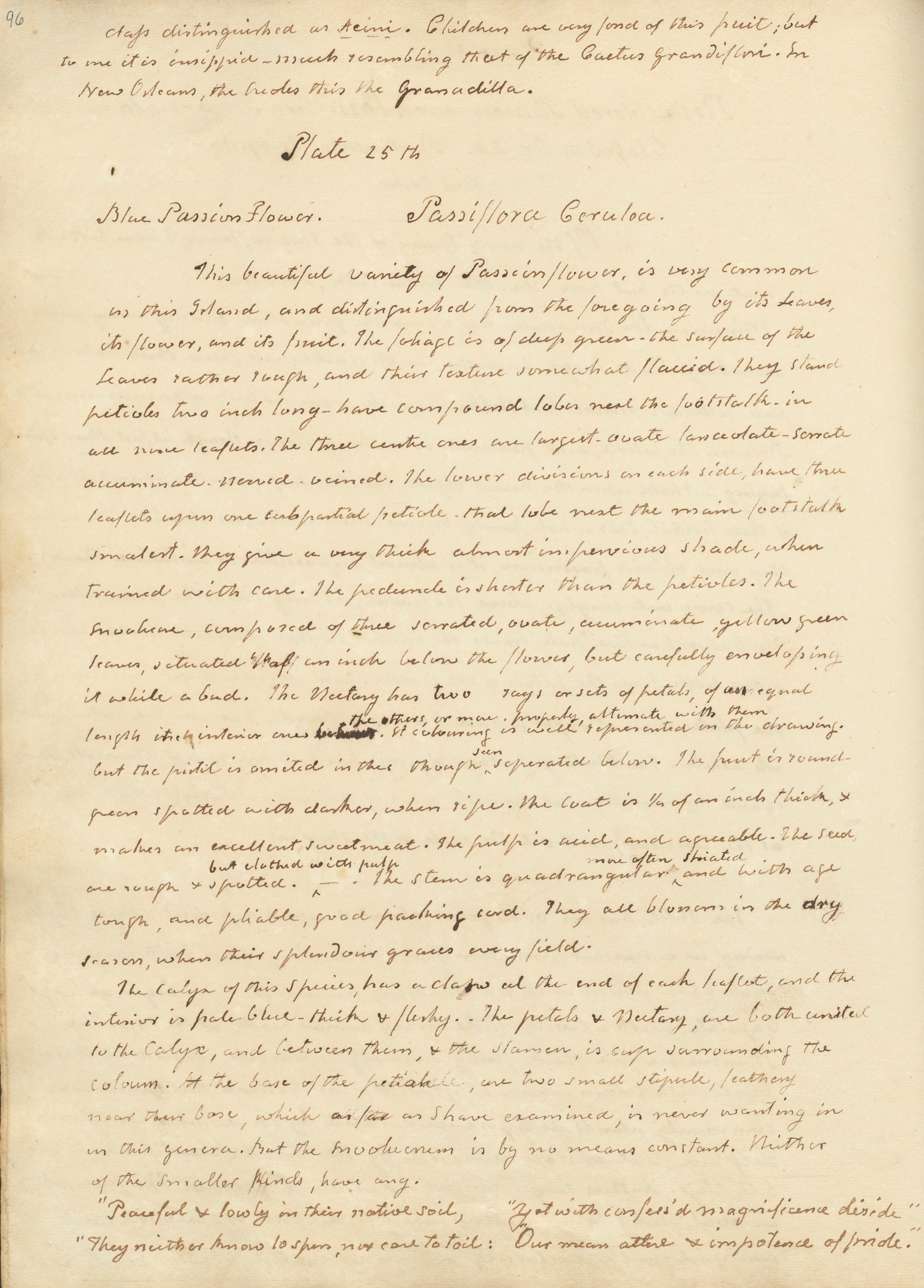 The corresponding description of the blue passionflower written by Wollstonecraft.