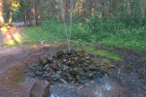 Springkällan (The Spring)