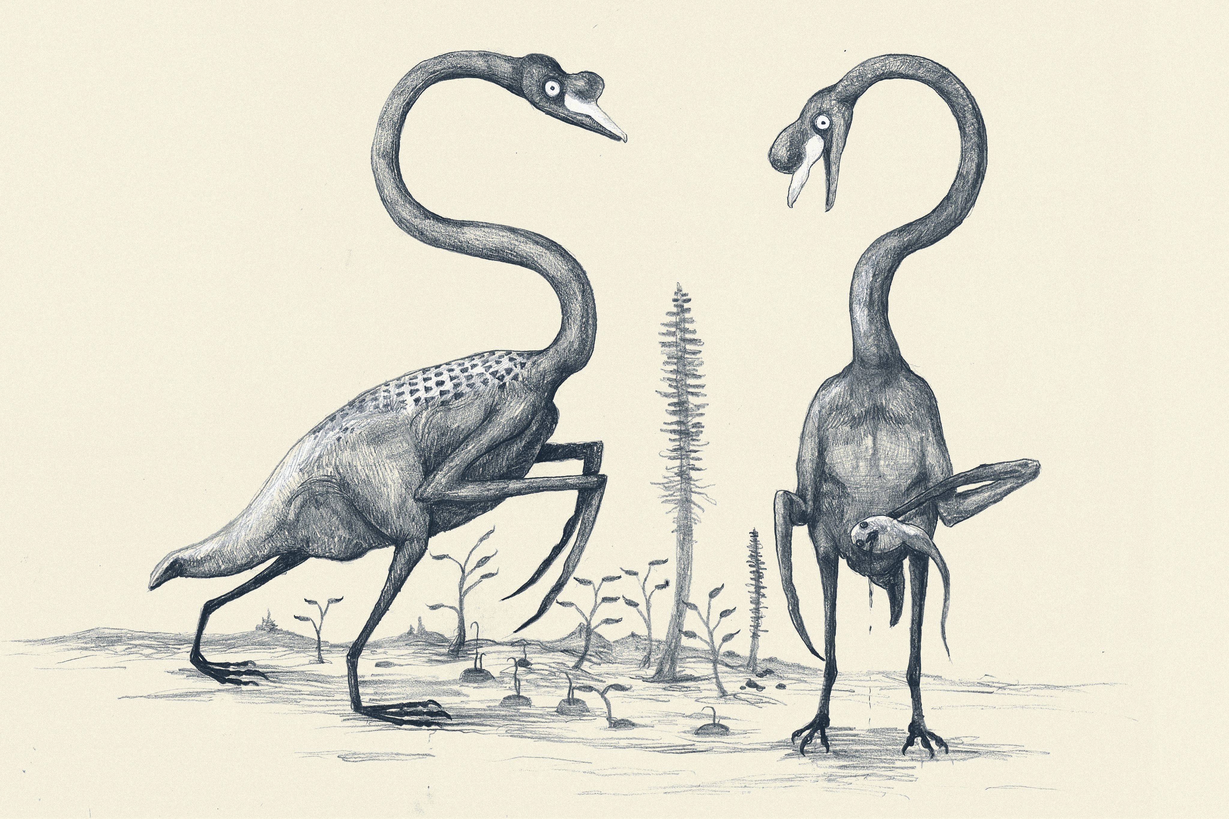 Modern animals. Доисторические животные. Анатомия лебедя. Скелеты вымерших животных. Современные животные глазами палеонтологов.