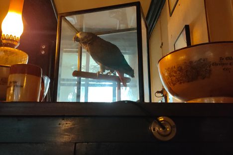 Polly at Ye Olde Cheshire Cheese