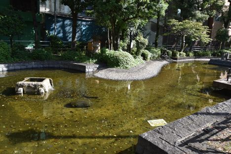 The pond in Hanakawado Park.