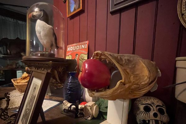 Artifacts and Oddities