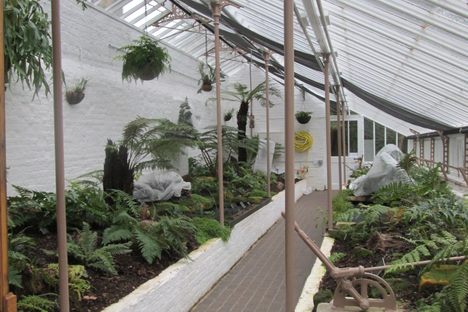 Fern Greenhouse