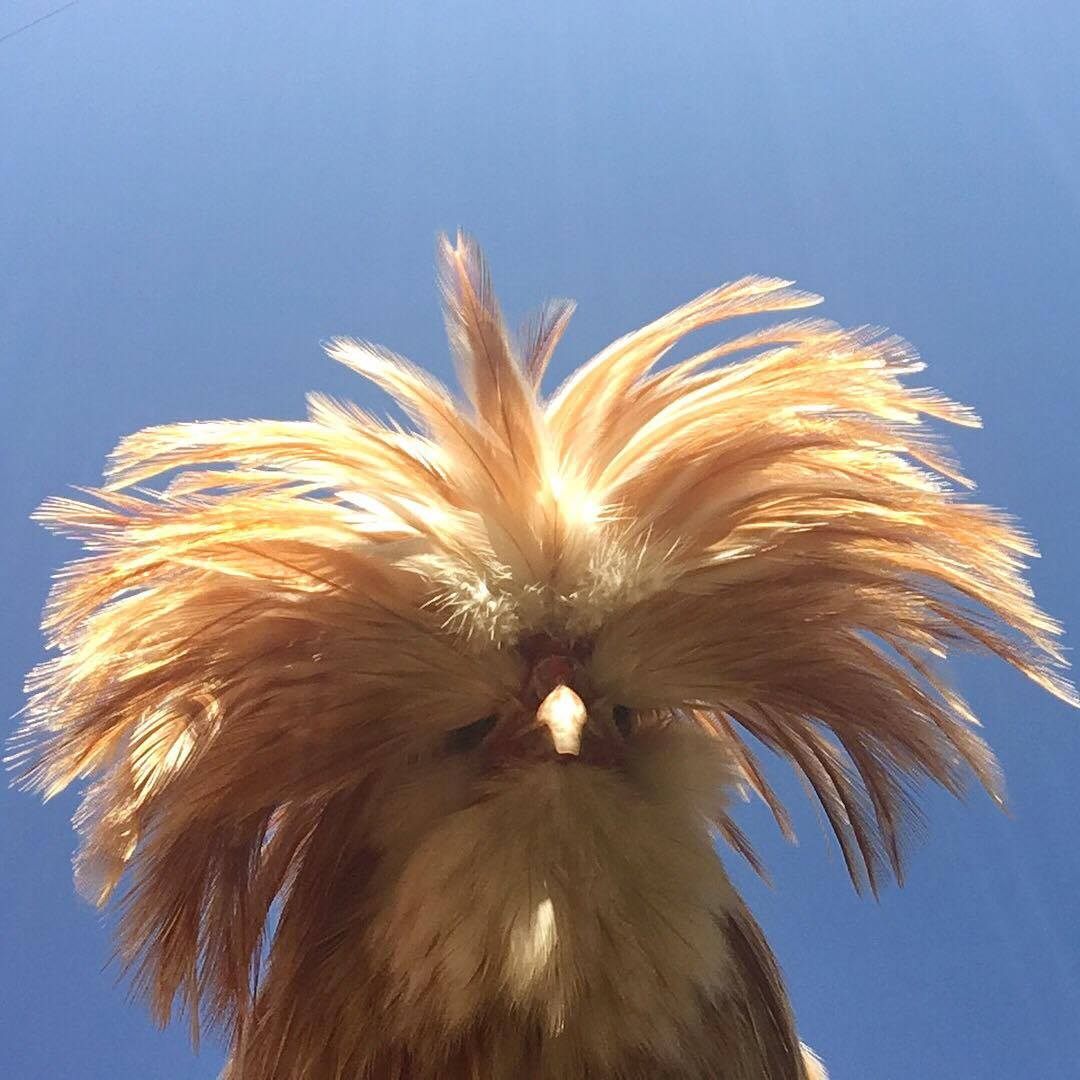 A worm's-eye-view of Mason.