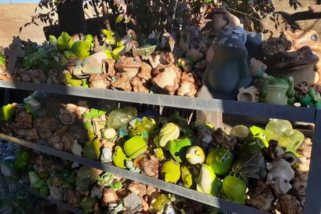 Endless parade of amphibians 