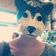 knydle profile photo