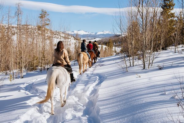 Live out your western winter dreams on a horseride through the snow