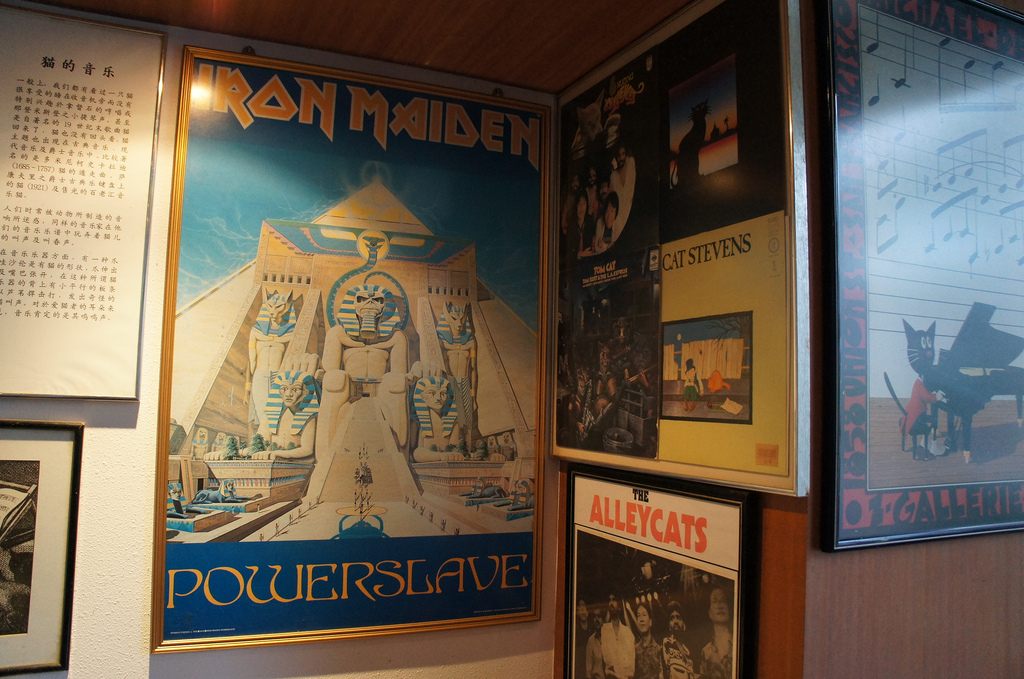 article-image