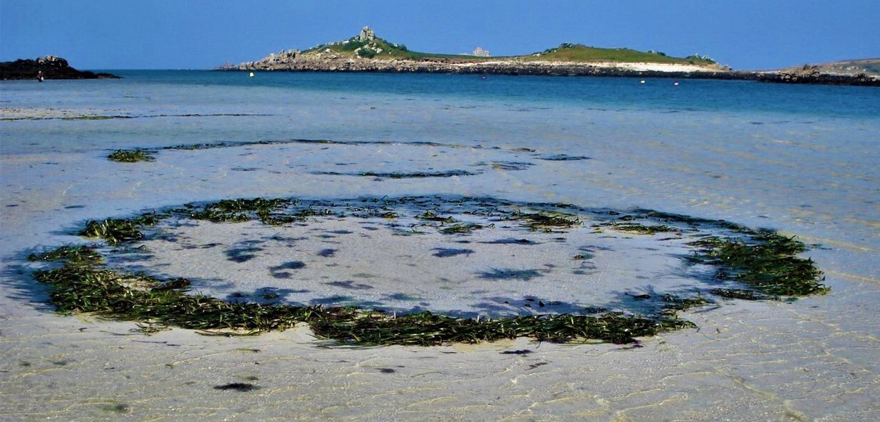 These two seagrass fairy circles, each about 17 feet (five meters) wide, are located in the harbor of Old Grimsby, in the Isles of Scilly in England.