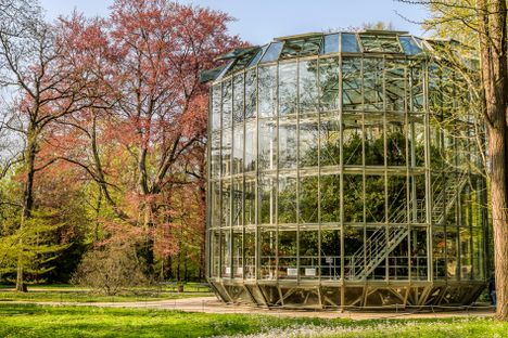 A movable glasshouse protects the camellia in winter.