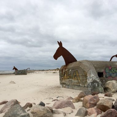 Blåvand Beach Bunker Mules.