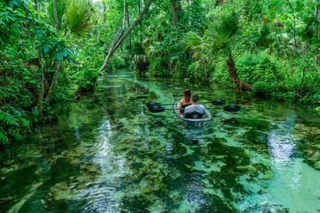 Rock Springs Run winds through a lush segment of semi-tropical forest. 