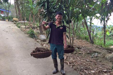 A springy bamboo pole helps a villager lighten his load. 