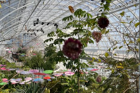 Inasmuch Foundation Crystal Bridge Conservatory
