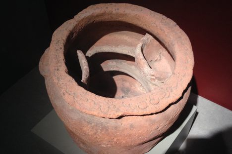 A glirarium, or dormouse fattener. 