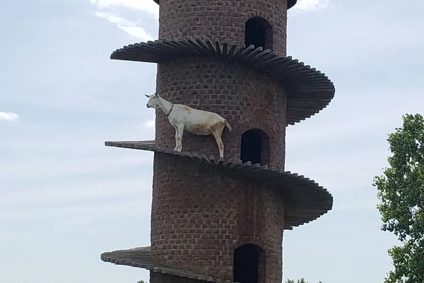 The structure became the world's tallest goat tower by accident.