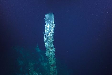 Jaich Maa is an unusual hydrothermal vent ecosystem.