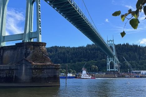 Summer evening under Cathedral Bridge  Portland, OR