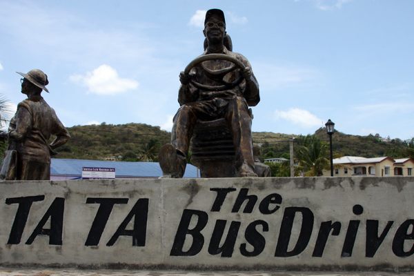 Tata the Bus Driver