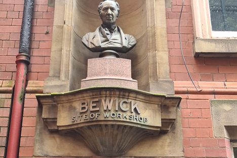Thomas Bewick Bust