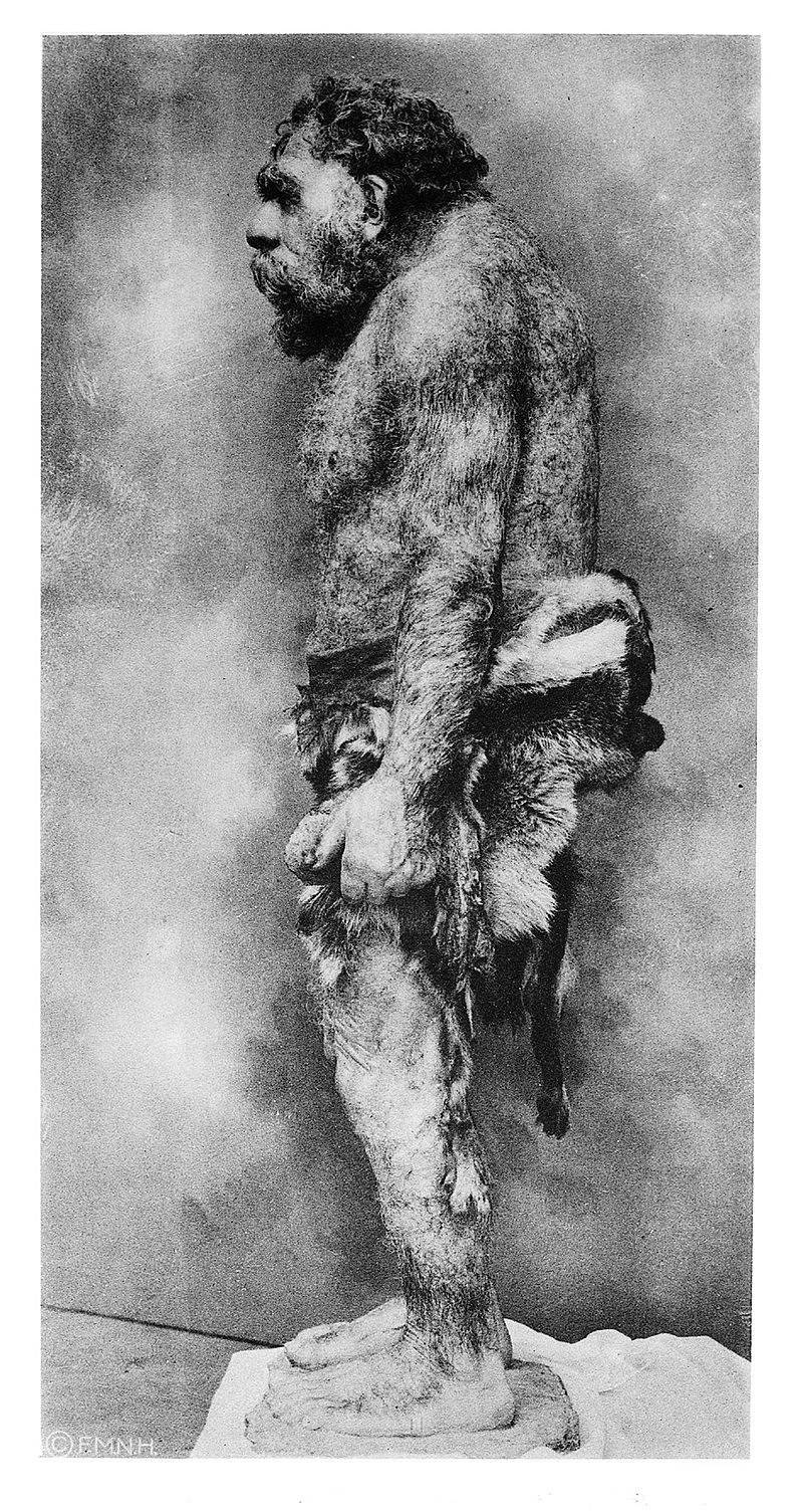 An early drawing of a Neanderthal, stooped and hairy.