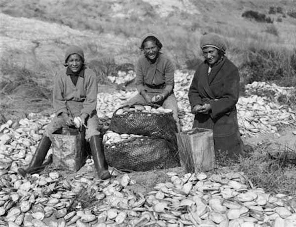 Three Māori girls. shelling toheroa by the shore with the help of <em>kete</em> bags in the early-20th century
