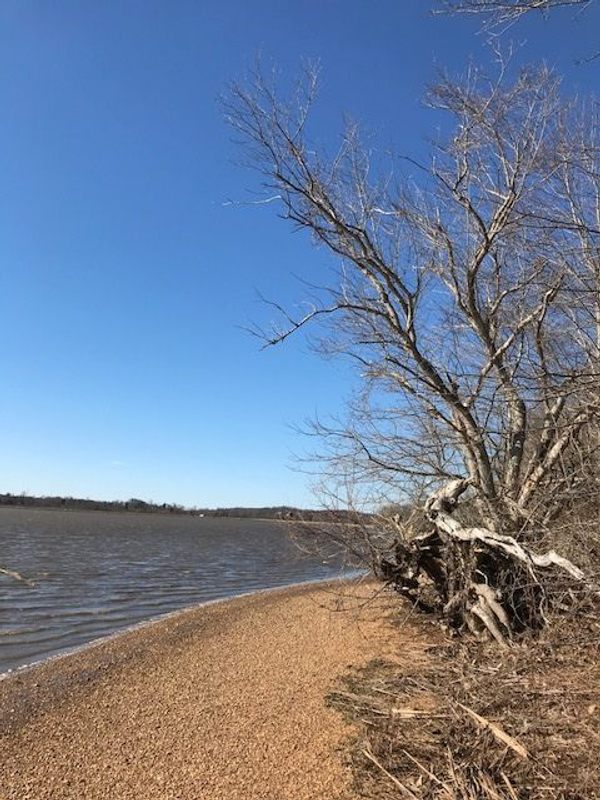 The shores of the Patuxent River. 