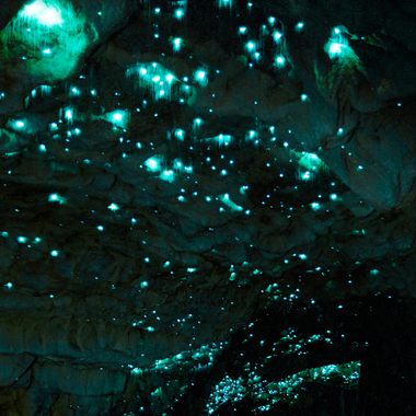 Waitomo, New Zealand