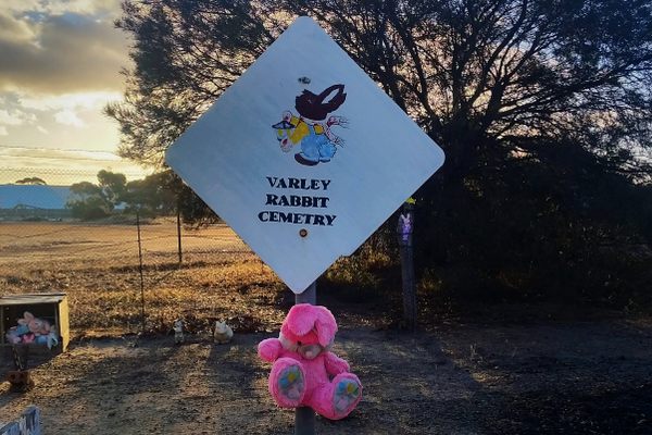 Rabbit Cemetery.