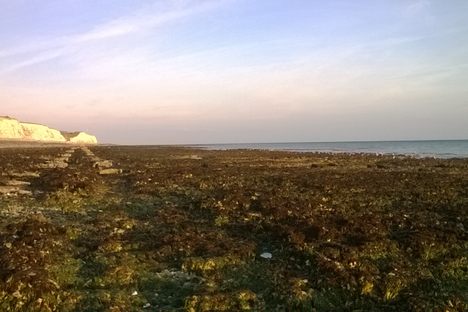 Extreme low-tide exposing rock pools