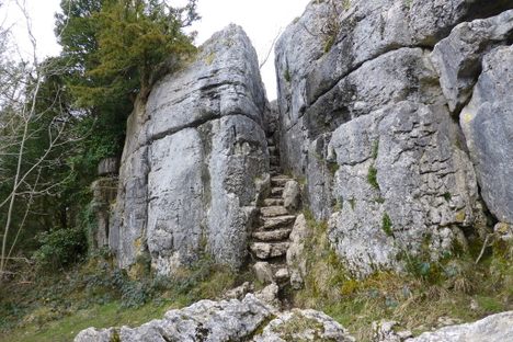 Fairy Steps