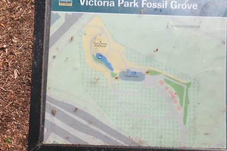 Fossil Grove
