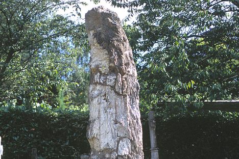 Alfred Russel Wallace's Grave.