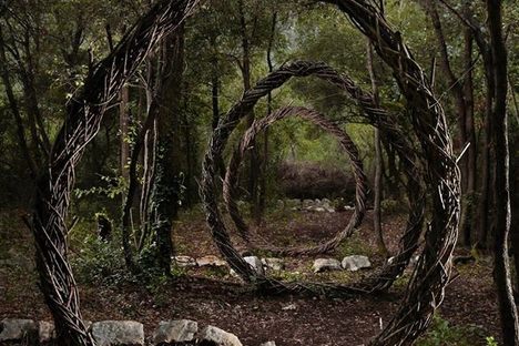 Natural Artworks in a French Forest